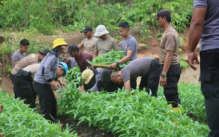 Polres Benteng saat Tanam Sayuran Organik
