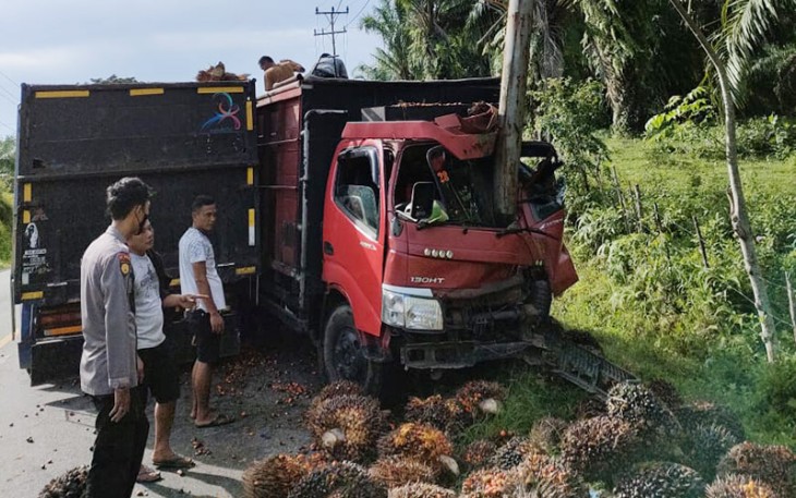 Truk Muatan Sawit Ringsek usai Tabrak Tiang Listrik