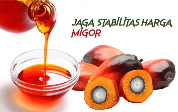 ilustrasi Migor