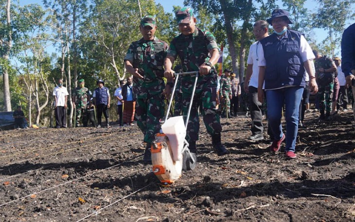 Kasad saat mengunjungi lahan dalam Program ketahanan pangan 