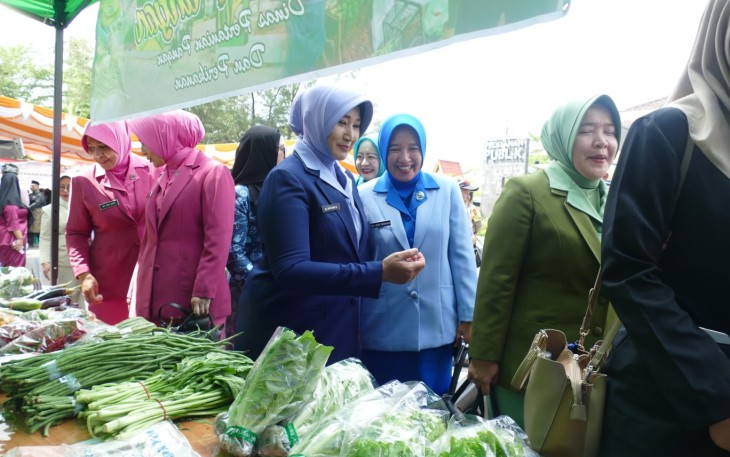Temu Kader PKK dan Dekranasda Tingkat Kota Tanjungpinang