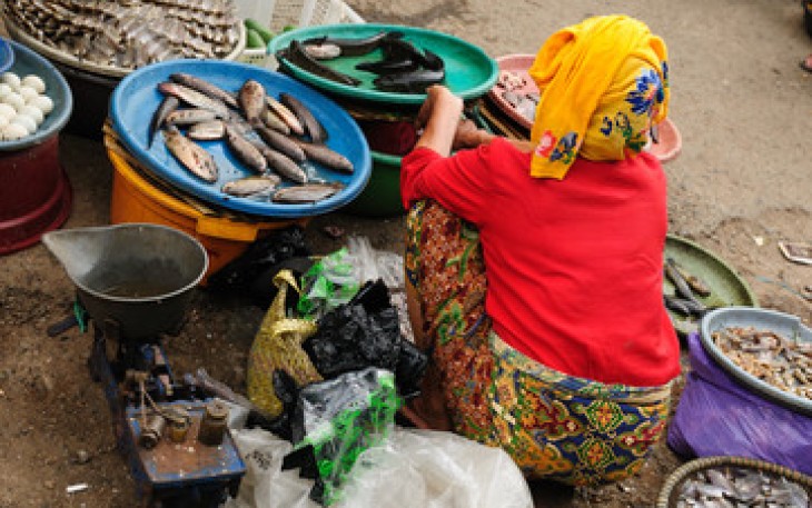 Ilustrasi Pedagang Ikan di Pasar Bawah Bukittinggi (sumber : freepik)