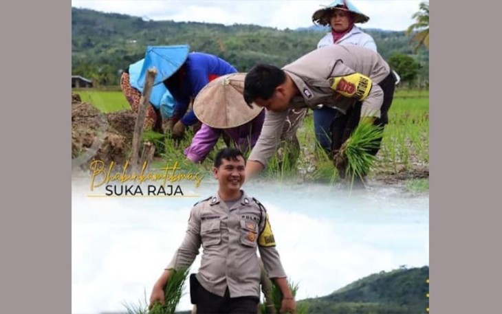 Bhabinkamtibmas Desa Sukaraja Lebong saat Tanam Padi besama Warga 