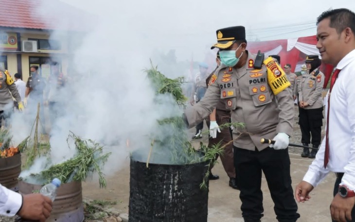 Kapolda Bengkulu saat musnahkan 32 Batang Ganja temuan Satresnarkoba Polres Bengkulu Tengah dari kebun seluas 1,5 hektare di Desa Tebat Karai Kabupaten Kepahiang.