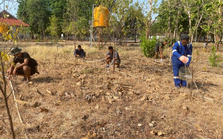 Lanudal Kupang Ubah Lahan Tandus Berkarang Jadi Lahan Konservasi Gaharu dan Cendana