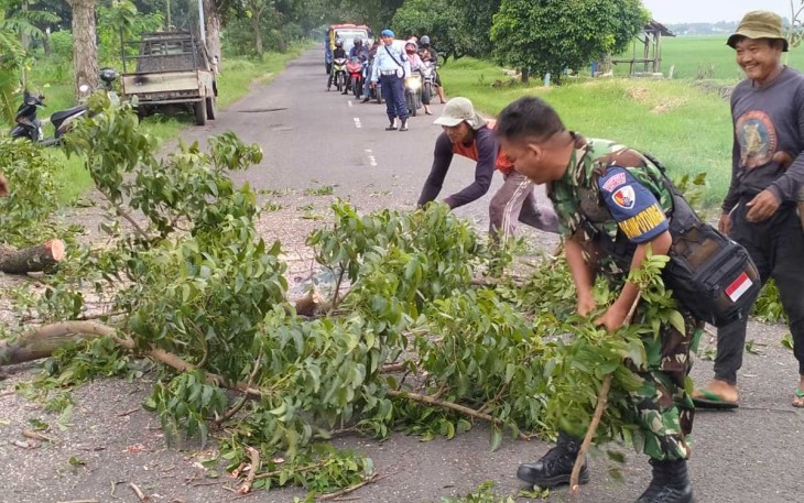 Pemotongan pohon tumbang di jalan