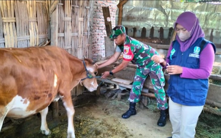 Vaksinasi PMK ternak warga binaan