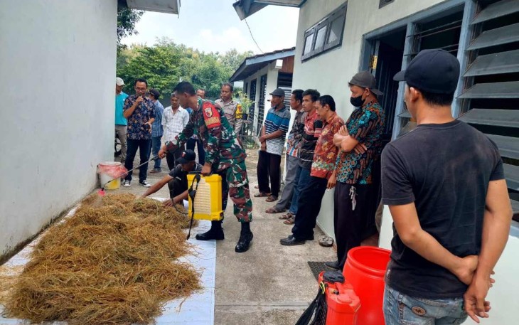 Pelatihan Pembuatan Jamu Dan Pakan Ternak
