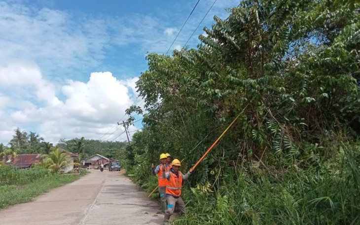 Pemangkasan ranting pohon di jalur listrik