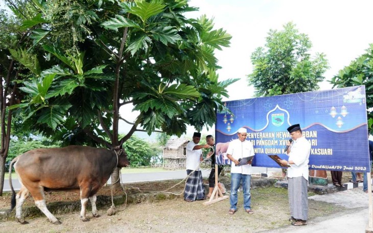Penyerahan sapi qurban Panglima TNI di Kodam XVIII Kasuari 