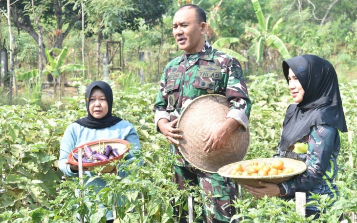 Danrem 081/DSJ Kolonel Inf H. Sugiyono saat panen Gado-gado Bosbow 