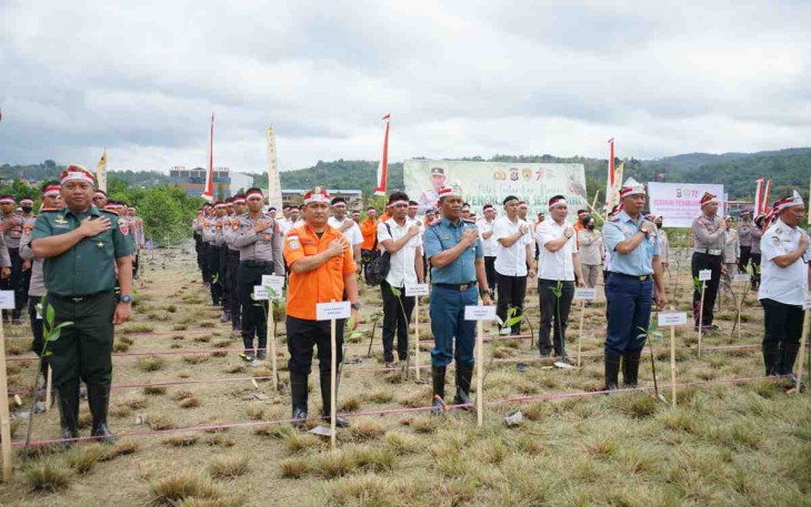 Penanaman mangrove dipesisir Teluk Kendari 