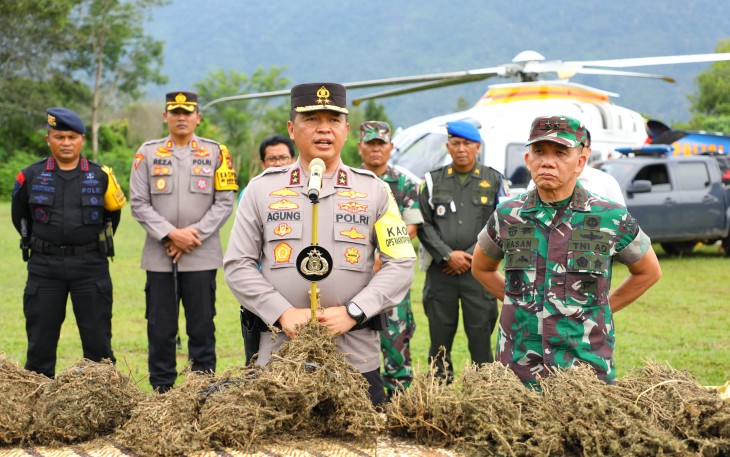 Pangdam I/BB dan Kapolda Sumut Musnahkan Ladang Ganja 150 Ha di Madailing Natal 