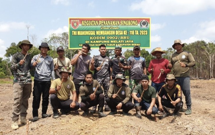 Satgas TMMD Ke-118 Kodim 0902/Berau Tanam Singkong dan Jagung