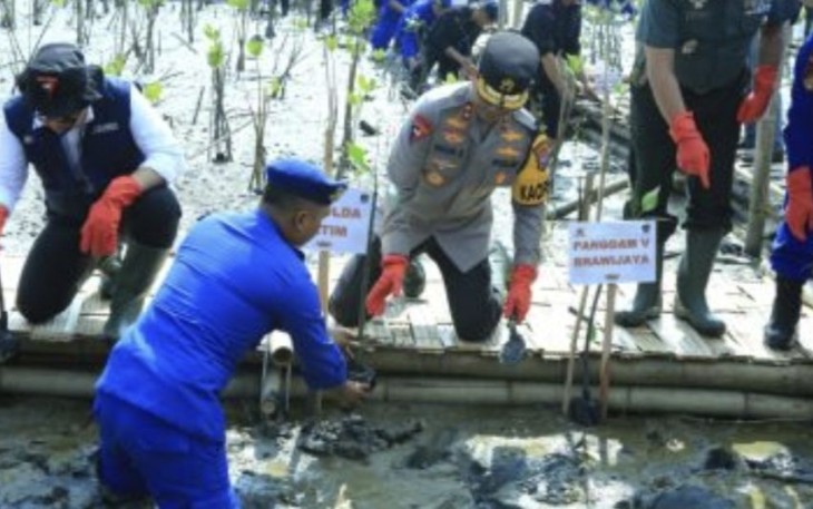 Kapolda Jatim Irjen Pol Imam Sugianto tanam bibit Mangrove di TPI Romokalisari, Benowo, Surabaya, Kamis (30/11)