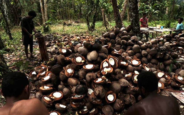 Petani Kelapa