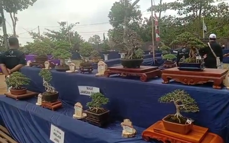 Pameran dan edukasi bonsai di agro wisata Jolong Pati 