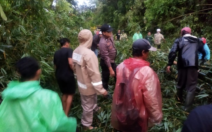 Terkini di Rimbo Pengadang: Tanah Longsor dan Pohon Tumbang