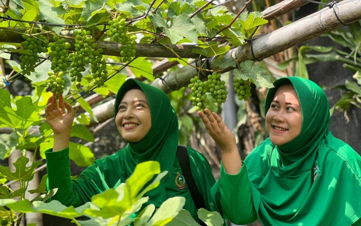 Yonif 330 Sukses Budidayakan Anggur