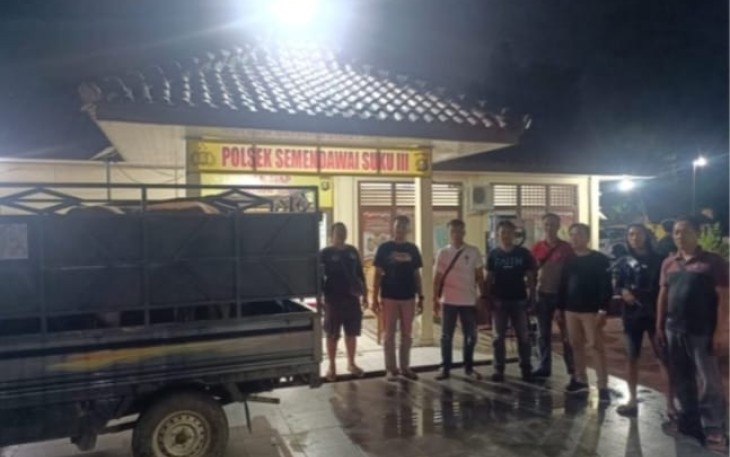 Pasca pengamanan 3 Ekor Sapi diduga Hasil Kejahatan