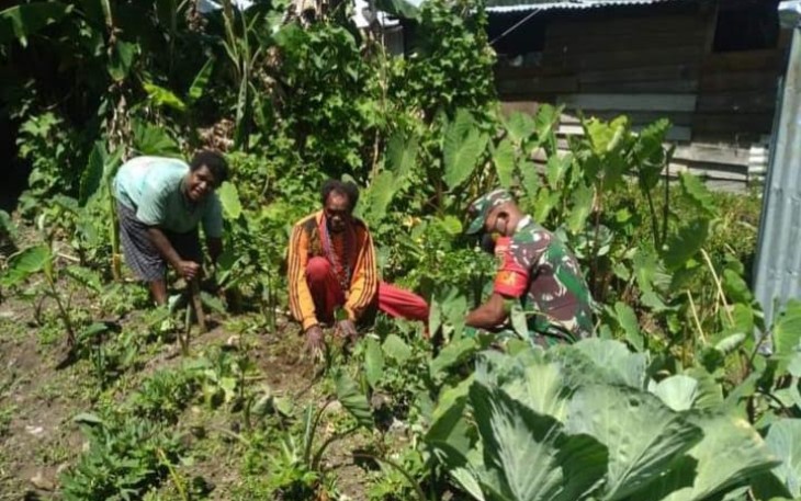 Babinsa 1714-01/Mulia saat Dampingi Petani Berkebun