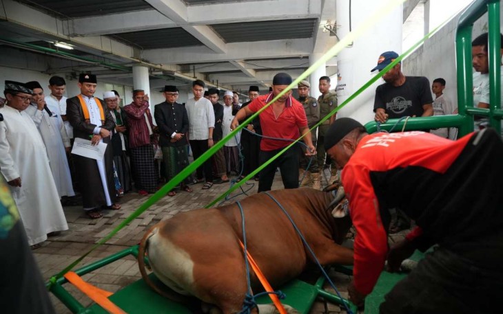 Pj Gubernur Sulsel Prof Zudan Arif Fakrulloh menyaksikan penyembelihan hewan kurban 