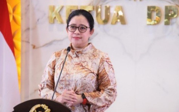 Ketua DPR RI Puan Maharani 