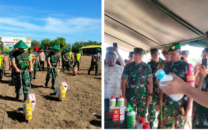 KASAD Lakukan Penanaman Jagung 