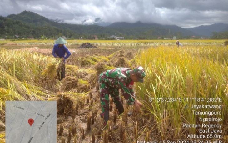 Babinsa Koramil 0801/07 Ngadirojo Lakukan Pendampingan Pertanian