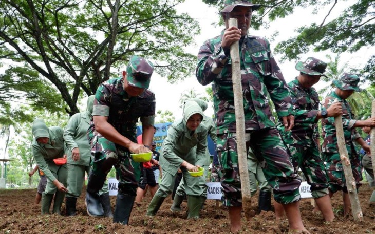 Kodim 0801/Pacitan Laksanakan Penanaman Jagung