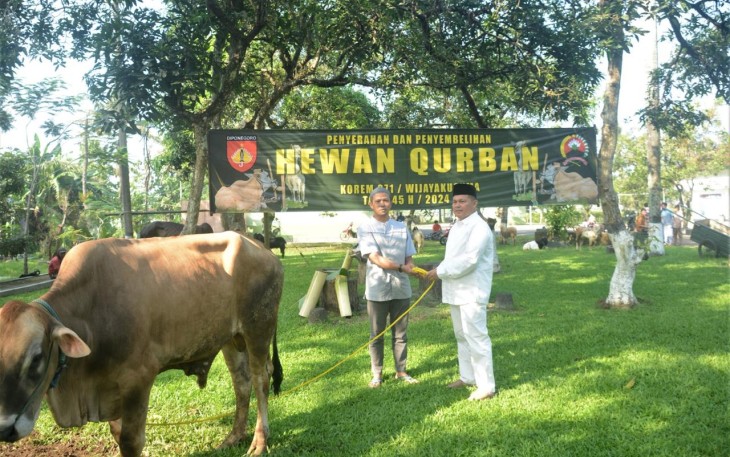 Penyerahan hewan kurban 