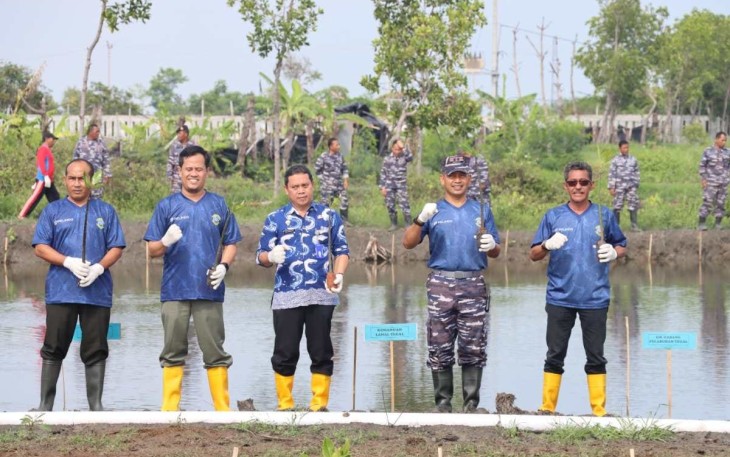  Lanal Tegal Bersama Pelindo Gelar Penanaman 3.200 Bibit Magrove