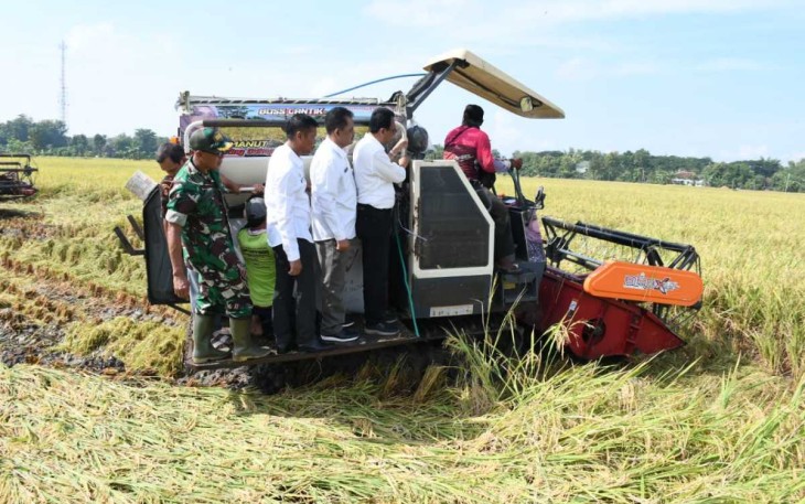 Panen Raya Padi Kabupaten Ponorogo 