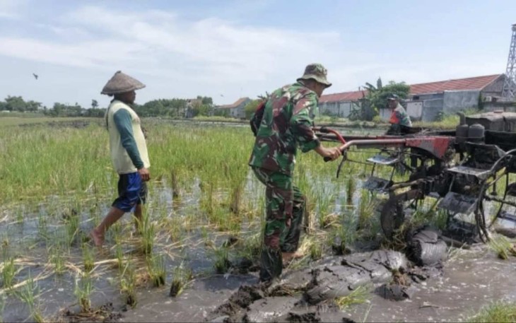 Pendampingan ketahanan pangan di wilayah desa binaan 