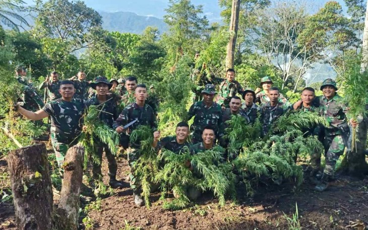 Penemuan ladang ganja di Bukit Tor Sihite