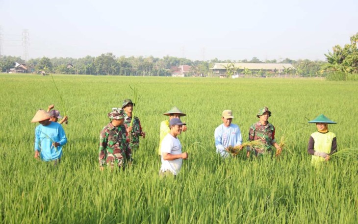 Pendampingan petani wilayah desa binaan 