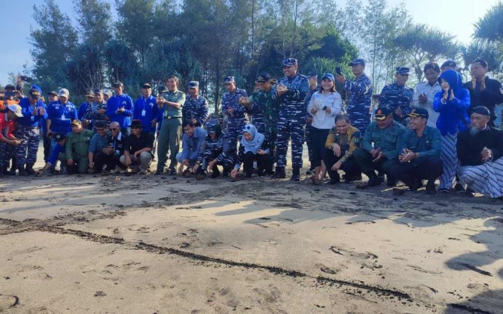 Pelepasan tukik di dusun Bajulmati, Kecamatan Gedangan Kabupaten Malang