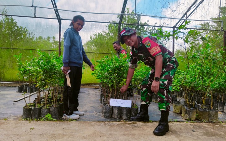 Babinsa Koramil Timika Bersama Dinas Pertanian Mimika Siapkan Pohon Untuk Program Penghijauan