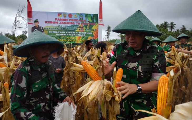 Danrem 131/Stg Gelar Panen Perdana 