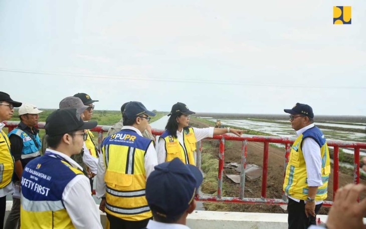 Wamen PU Diana saat meninjau jaringan irigasi food estate di kabupaten Kapuas, Kalteng, Senin (11/11)