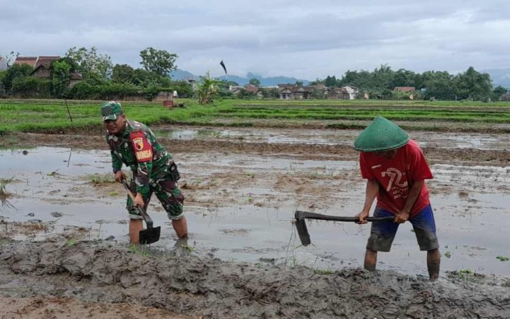 Bantu pengolahan lahan pertanian petani desa binaan 
