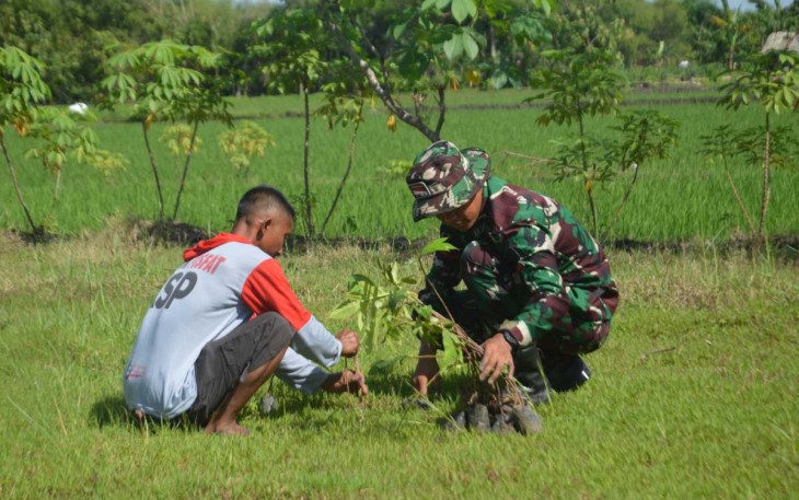 Prajurit Yonarmed 12 Kostrad tanam pohon Sukun di desa Pangkur, Kamis (19/12)