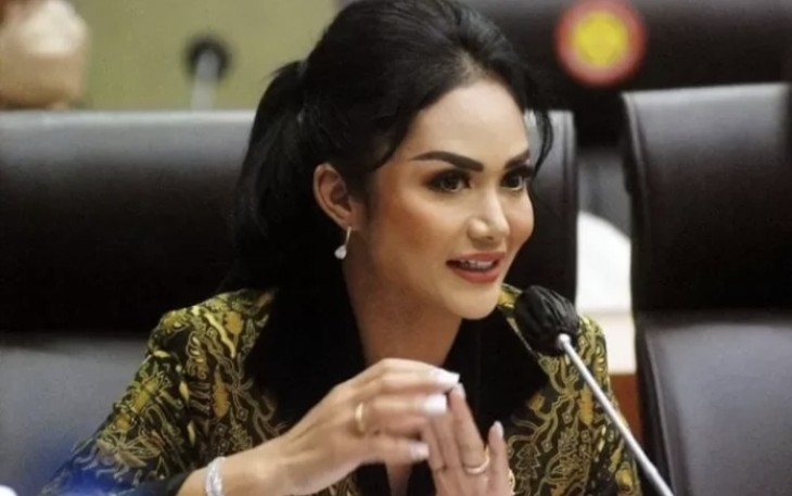Kris Dayanti Anggota Komisi IX DPR RI 