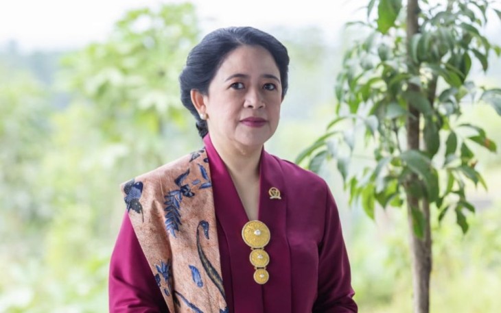 Ketua DPR RI Puan Maharani 