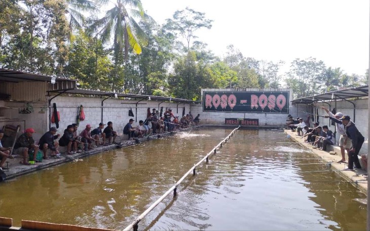 Kolam Pemancingan Roso-Roso desa Sukopuro, Kec. Jabung, Kabupaten Malang
