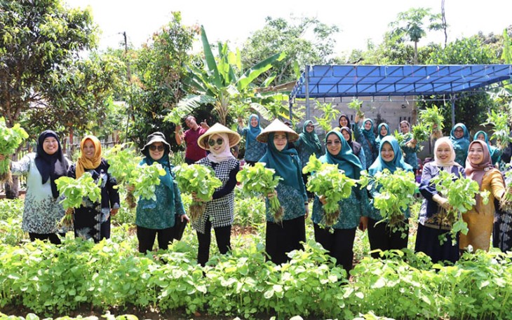 Ketua PKK Bintan saat Panen Sayur Bersama Dasa Wisma Nila