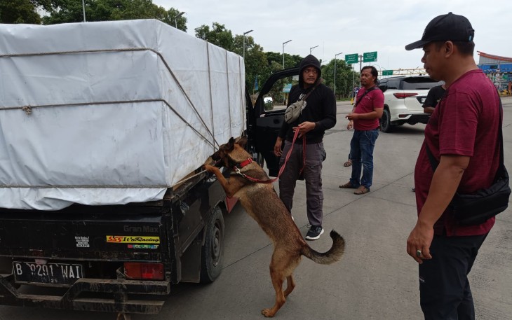 Anjing K9 Bantu Lacak Peredaran Narkoba di Pelabuhan Bakauheni