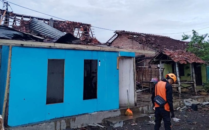 Tim gabungan dan relawan bekerja sama melakukan penanganan pohon tumbang terdampak angin kencang yang menerjang Desa Walidono, Kecamatan Prajekan, Kabupaten Bondowoso pada Kamis (18/1).  Foto: BPBD Kabupaten Bondowoso