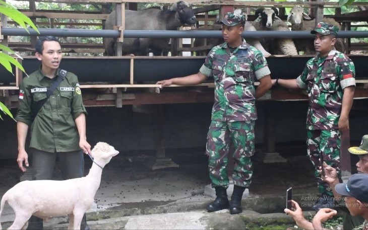 Korem 081/DSJ Siap Tingkatkan Kesejahteraan Masyarakat Melalui Budidaya Domba