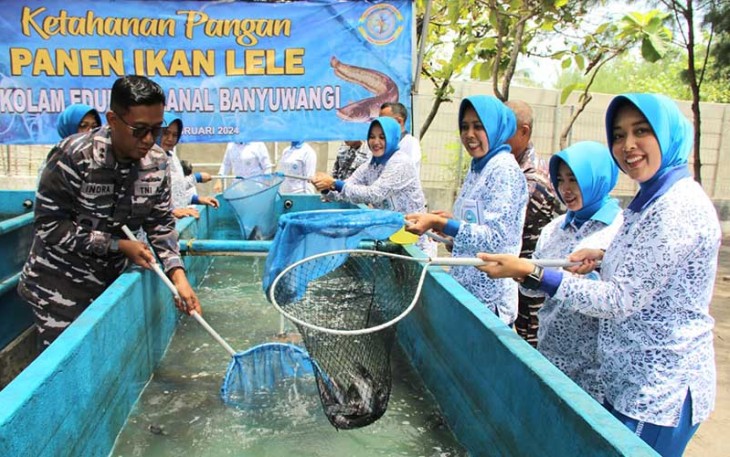 Danlanal Banyuwangi saat Panen Budidaya Ikan Lele di Pantai Cemara Lanal Banyuwangi Jl. Raya Situbondo No. 54 Ketapang Banyuwangi. (07/02/2024).